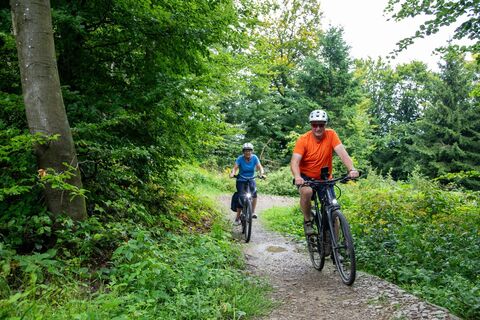 Green Trails Diemelsee
