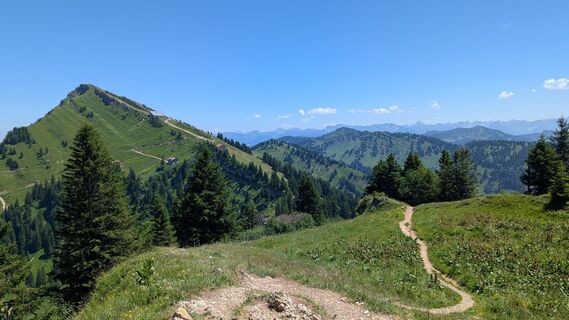 Fotografia z hochlandfamilie na trase