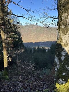 Fotografie de la Babs Holz de-a lungul turului