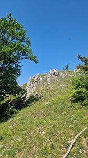Photo de Roland Wondra le long du parcours