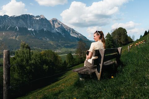 19 - rundwanderweg-oeblarn-niederoeblarn-19 © Christoph Lukas (2025-06).jpg