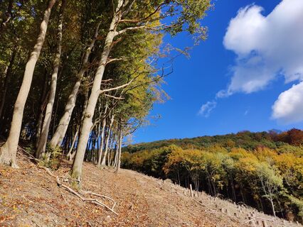 Fotografie de la DevilsBastard de-a lungul turului
