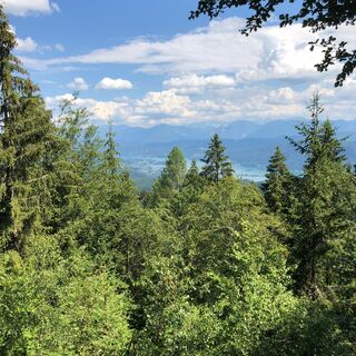 Aussicht auf den Wörthersee