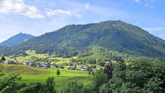 Tisner Wald
