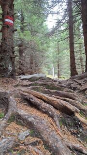 Fotografia z Aga M na trase