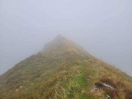 Fotografia z schenkeli na trase