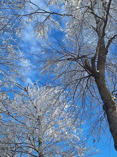 Foto von Mimi entlang der Tour