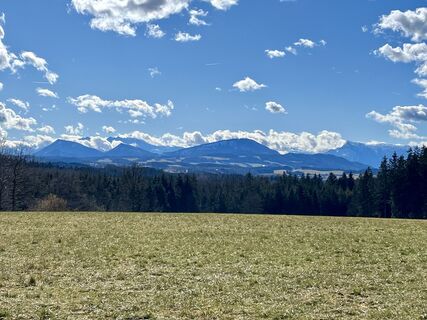 Fotografija s spletne strani Peter Steyrer na poti
