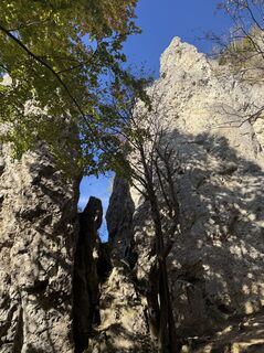 Photo de brosensteiner le long du parcours