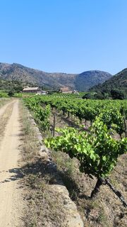 Fotografie z CPQS na trase