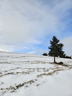 Foto von Ingrid H entlang der Tour