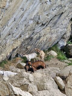Photo de Domenic Beyrowski le long du parcours