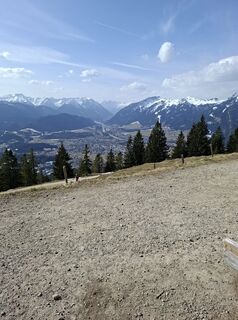 Foto de gottie a lo largo del recorrido