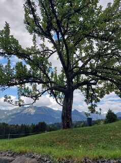 Foto von N Bruehne entlang der Tour