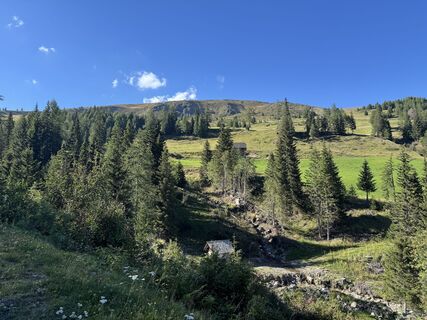 Foto von Ingeborg Steindl entlang der Tour