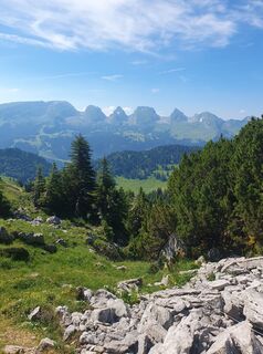 Photo de Steffen Daniel le long du parcours