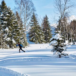 Winterwandern und Langlaufen Wasenmoos Mittersill