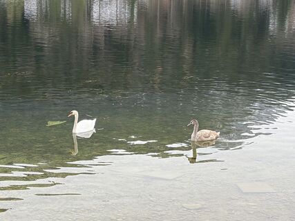 Foto de Markus Oswald 4 a lo largo del recorrido