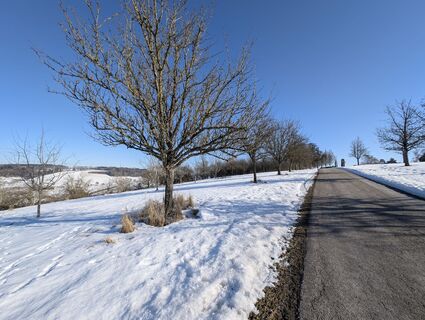 Foto von Stefan Bock entlang der Tour