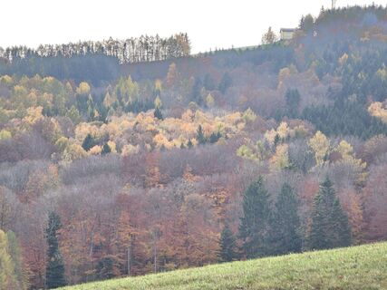 Fotografija s spletne strani Harald Kriebel na poti