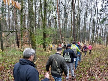 Wanderung durch Assamstadt