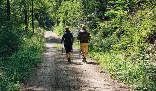 wald-paar-am-wandern