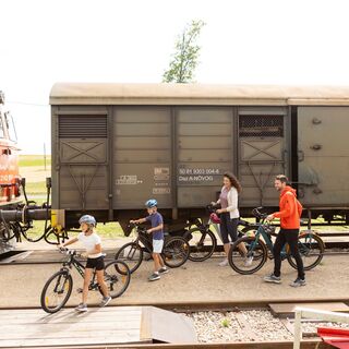 Reblausexpress