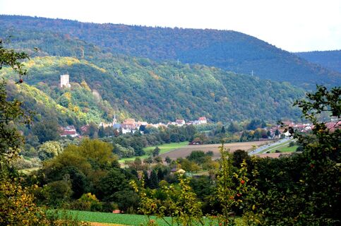 LT2 Freudenberg
