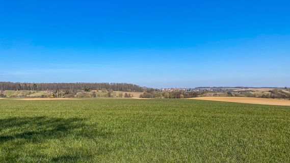 Blick von Elsenz ins Hügelland