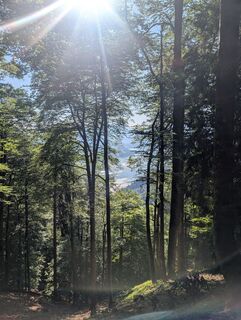 Foto von SFK entlang der Tour