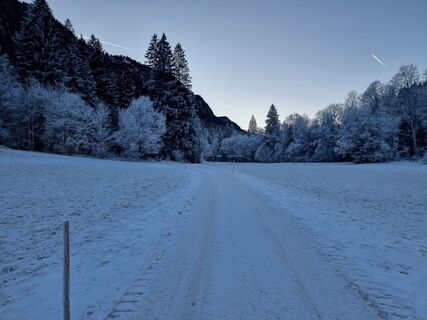 Fotografie z Felix na trase