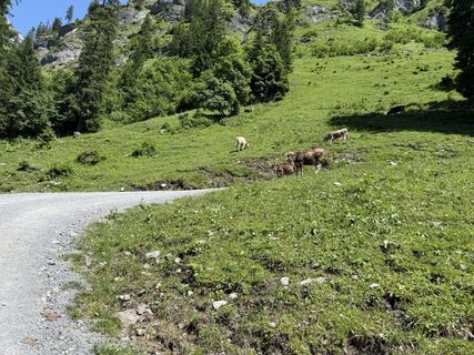 Fotografia z Silentpawel na trase