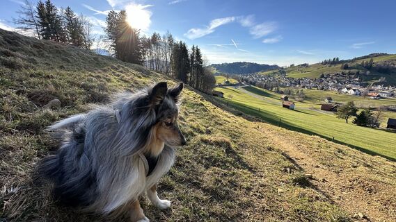 Foto von Norbert Schneider entlang der Tour