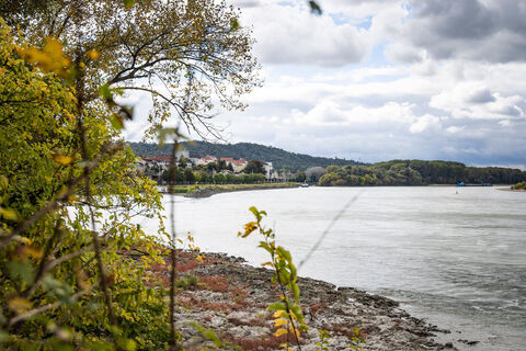 Blick auf die Donau bei Hainburg