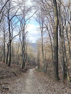 Fotografia z Katona Ferk Mariann na trase