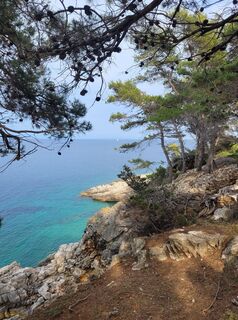 Fotografia z schenkeli na trase
