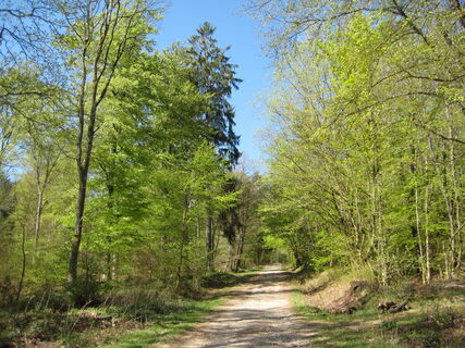 wanderweg-lb-7-40
