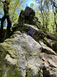 Foto da Arthur Muskalla lungo il tour