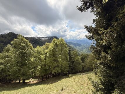 Zdjęcie z Natur_erleben_dg wzdłuż trasy