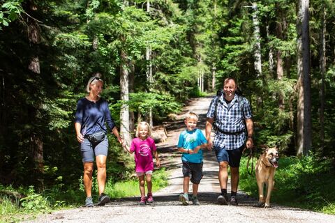 Wandern auf der Römer-Tour