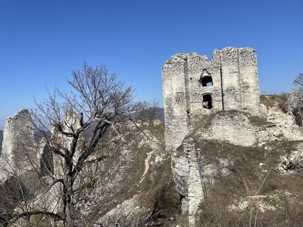 Fotografija s spletne strani Bacskai János na poti