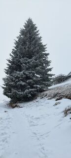 Fotografie z veronika bozic na trase