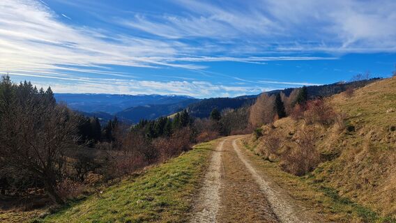 Zdjęcie z Thomas Mayer 1 wzdłuż trasy