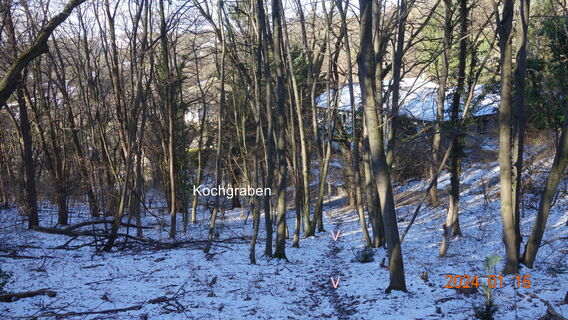 Aufstieg Schwahappelgasse Waldsteig