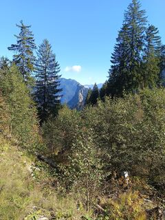 Photo de Marcel Navratil le long du parcours