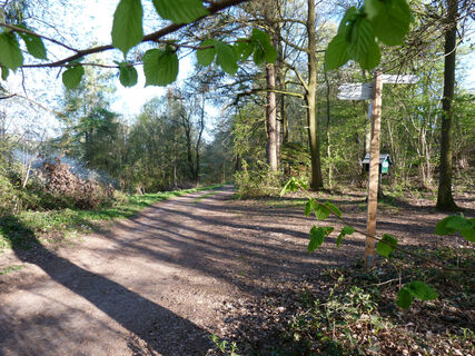 Weg zur Bocksberg-Kapelle