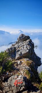 Fotografija s spletne strani ReginaSt na poti