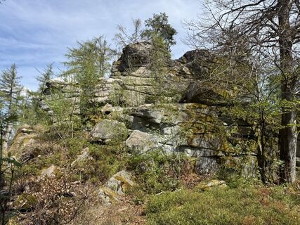 Fotografia z Norbert Herbig na trase