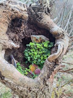 Kuva osoitteesta Dagmar Hofer matkan varrella