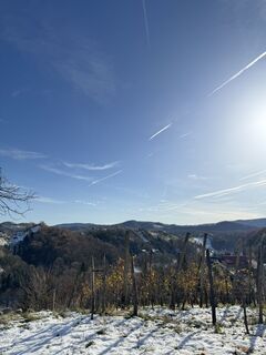 Fotografia z Alja Koren na trase